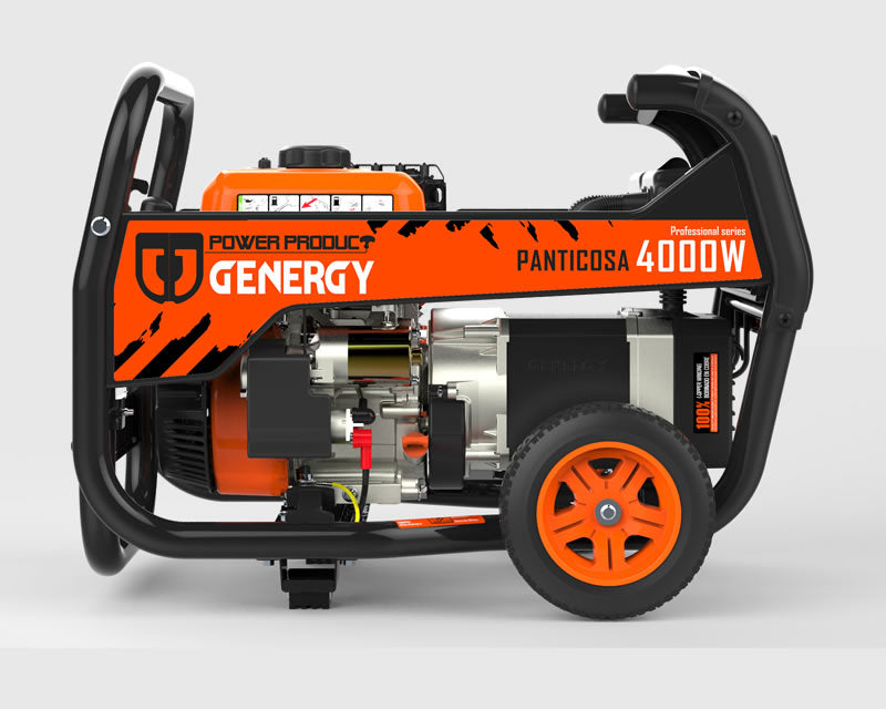 GENERADOR MODELO PANTICIOSA