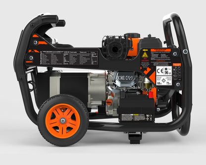 GENERADOR MODELO PANTICIOSA